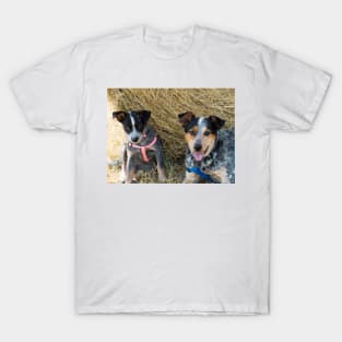 81515 two buddies T-Shirt